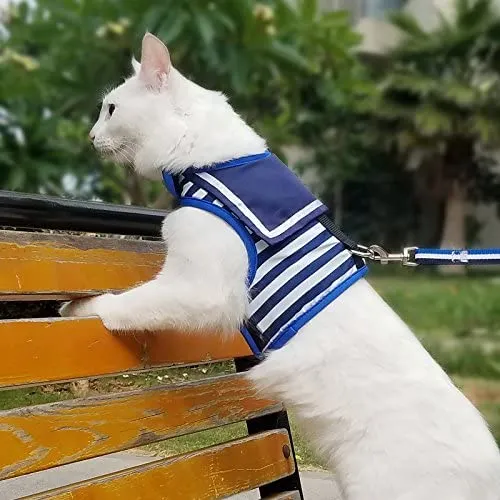 Arnés de gato con correa, ajustable para gatos, chaleco acolchado para gatos