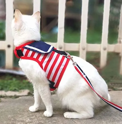 Arnés de gato con correa, ajustable para gatos, chaleco acolchado para gatos