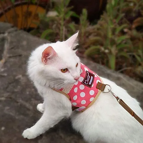 Arnés de gato con correa, ajustable para gatos, chaleco acolchado para gatos