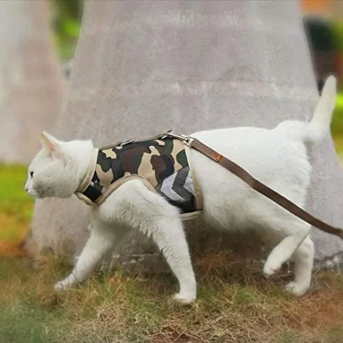 Arnés de gato con correa, ajustable para gatos, chaleco acolchado para gatos