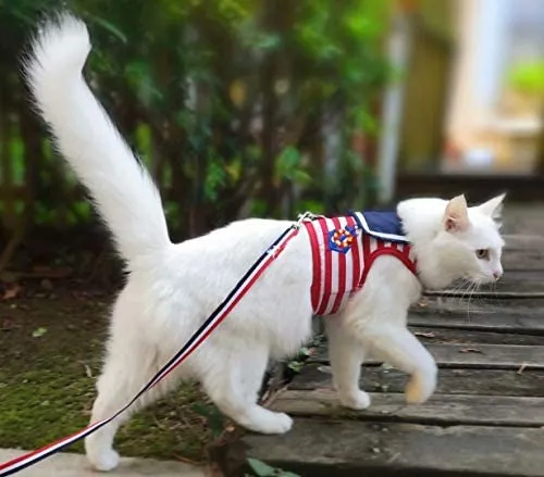 Arnés de gato con correa, ajustable para gatos, chaleco acolchado para gatos
