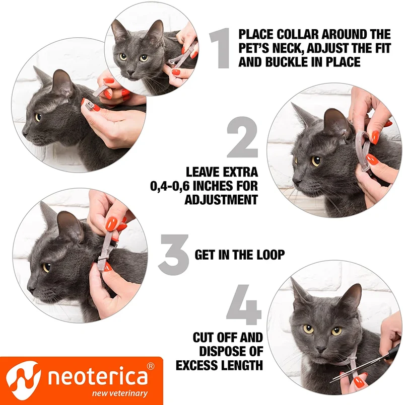 No Skid Pet Bowl Bandeja