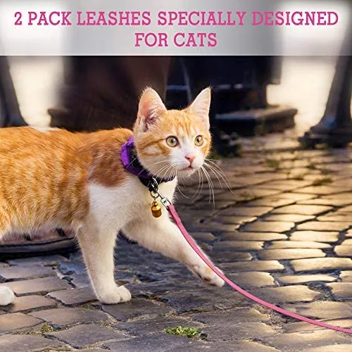 Correa de nailon para gatos de rabbitgoo, fácil de controlar, ligera, duradera, con clip giratorio de 360 grados, correas de entrenamiento para gatos pequeños y medianos, 59 pulgadas, 2 unidades
