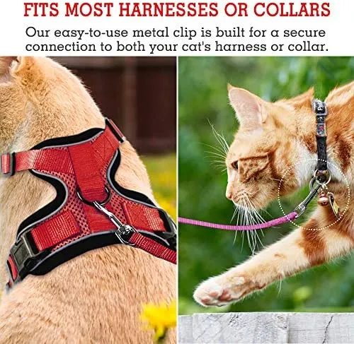 Correa de nailon para gatos de rabbitgoo, fácil de controlar, ligera, duradera, con clip giratorio de 360 grados, correas de entrenamiento para gatos pequeños y medianos, 59 pulgadas, 2 unidades