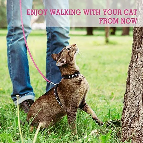 Correa de nailon para gatos de rabbitgoo, fácil de controlar, ligera, duradera, con clip giratorio de 360 grados, correas de entrenamiento para gatos pequeños y medianos, 59 pulgadas, 2 unidades