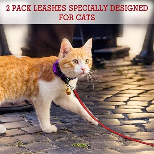 Correa de nailon para gatos de rabbitgoo, fácil de controlar, ligera, duradera, con clip giratorio de 360 grados, correas de entrenamiento para gatos pequeños y medianos, 59 pulgadas, 2 unidades