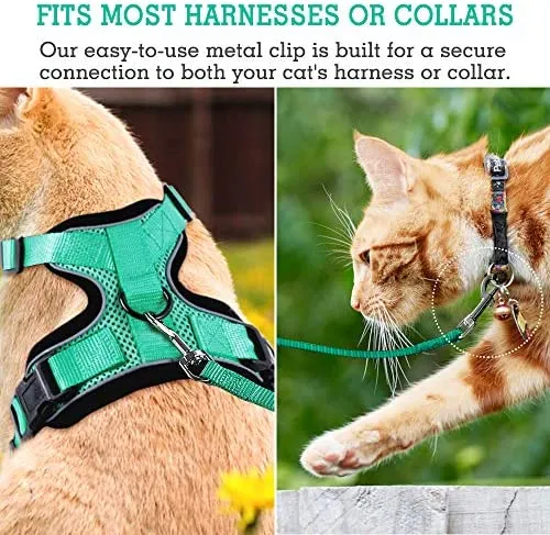 Correa de nailon para gatos de rabbitgoo, fácil de controlar, ligera, duradera, con clip giratorio de 360 grados, correas de entrenamiento para gatos pequeños y medianos, 59 pulgadas, 2 unidades