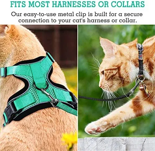 Correa de nailon para gatos de rabbitgoo, fácil de controlar, ligera, duradera, con clip giratorio de 360 grados, correas de entrenamiento para gatos pequeños y medianos, 59 pulgadas, 2 unidades
