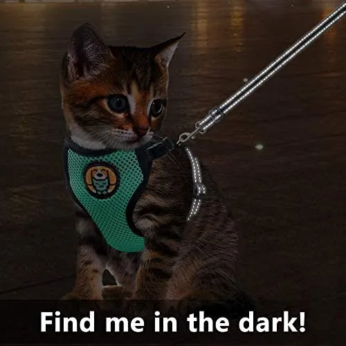AWOOF Arnés y correa a prueba de escape, ajustable para gatos, cachorros y gatos, chaqueta para caminar con correa de metal, suave y transpirable para mascotas
