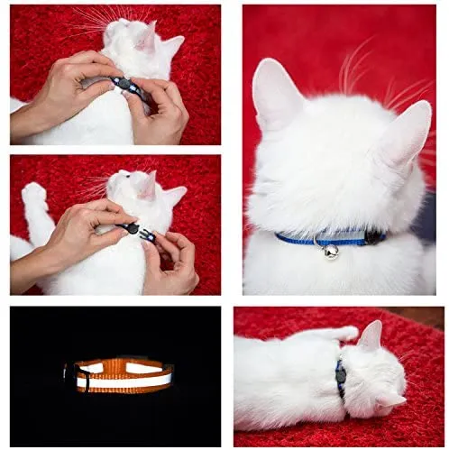 Collar para gato con campana y cinta reflectora, Juego de 3 o 6, Solido y Seguro, Nylon, colores mixtos, Collar para mascotas, Collar para gato, by Bemix Pets, Paquete de 3, Modelo 2