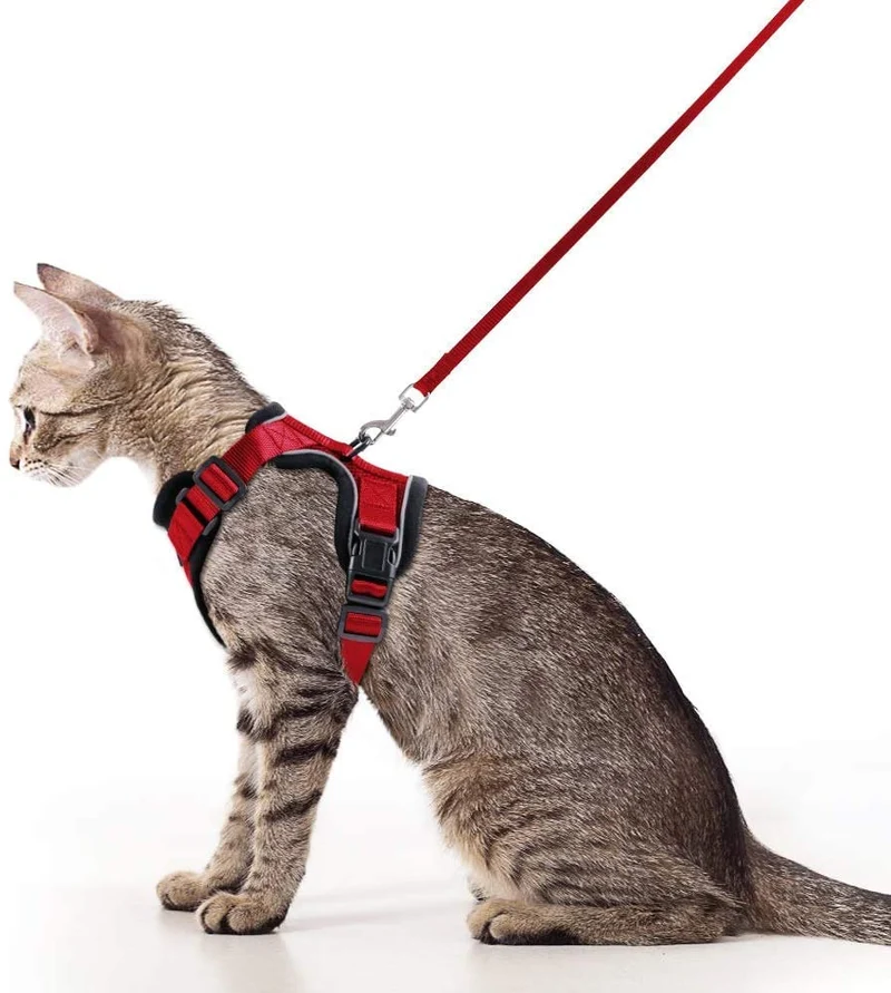 Rabbitgoo - Juego de arnés y correa para gato para caminar, a prueba de escape, con correa de 59 pulgadas – Arneses ajustables para gatos pequeños y medianos, arnés de correa para gato con tiras reflectantes y 1 anillo de metal