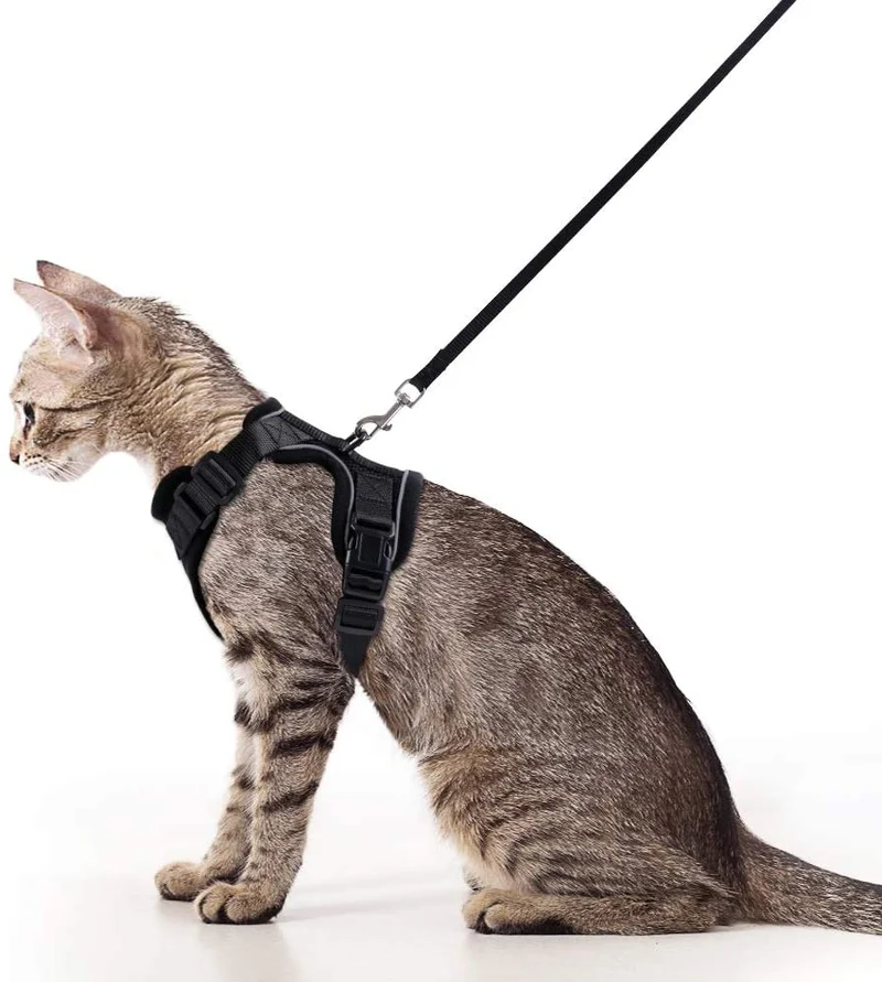 Rabbitgoo - Juego de arnés y correa para gato para caminar, a prueba de escape, con correa de 59 pulgadas – Arneses ajustables para gatos pequeños y medianos, arnés de correa para gato con tiras reflectantes y 1 anillo de metal