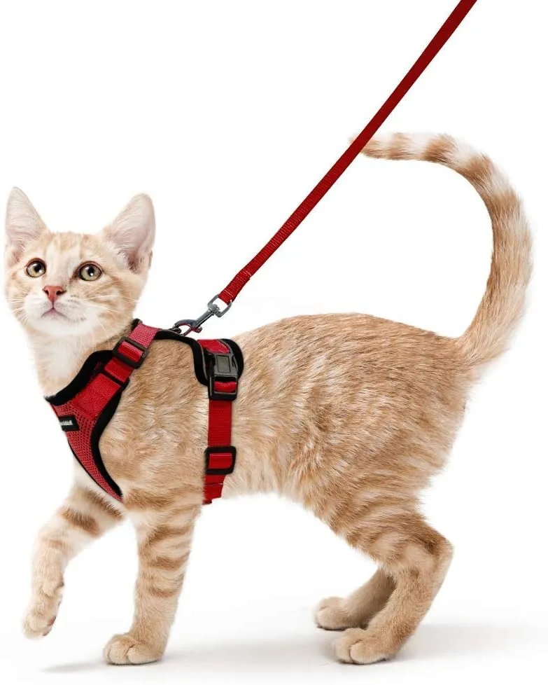 Rabbitgoo - Juego de arnés y correa para gato para caminar, a prueba de escape, con correa de 59 pulgadas – Arneses ajustables para gatos pequeños y medianos, arnés de correa para gato con tiras reflectantes y 1 anillo de metal