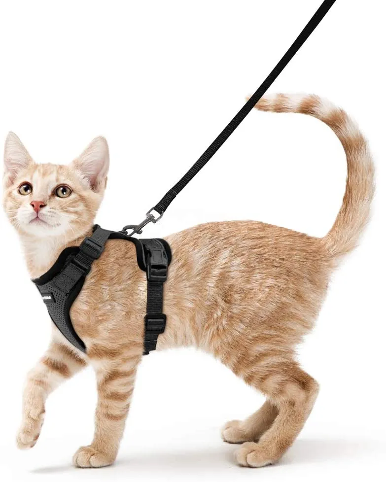 Rabbitgoo - Juego de arnés y correa para gato para caminar, a prueba de escape, con correa de 59 pulgadas – Arneses ajustables para gatos pequeños y medianos, arnés de correa para gato con tiras reflectantes y 1 anillo de metal