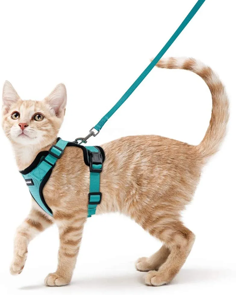 Rabbitgoo - Juego de arnés y correa para gato para caminar, a prueba de escape, con correa de 59 pulgadas – Arneses ajustables para gatos pequeños y medianos, arnés de correa para gato con tiras reflectantes y 1 anillo de metal