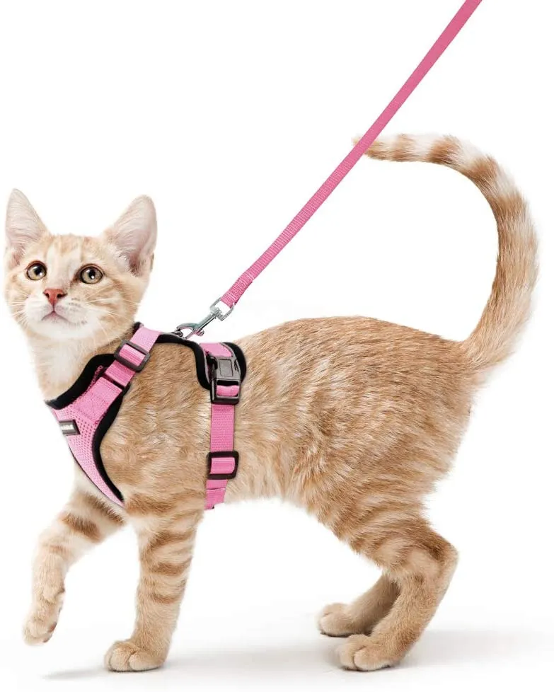 Rabbitgoo - Juego de arnés y correa para gato para caminar, a prueba de escape, con correa de 59 pulgadas – Arneses ajustables para gatos pequeños y medianos, arnés de correa para gato con tiras reflectantes y 1 anillo de metal