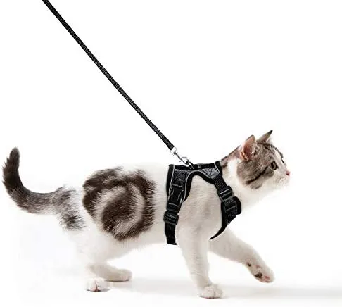Rabbitgoo - Juego de arnés y correa para gato para caminar, a prueba de escape, con correa de 59 pulgadas – Arneses ajustables para gatos pequeños y medianos, arnés de correa para gato con tiras reflectantes y 1 anillo de metal