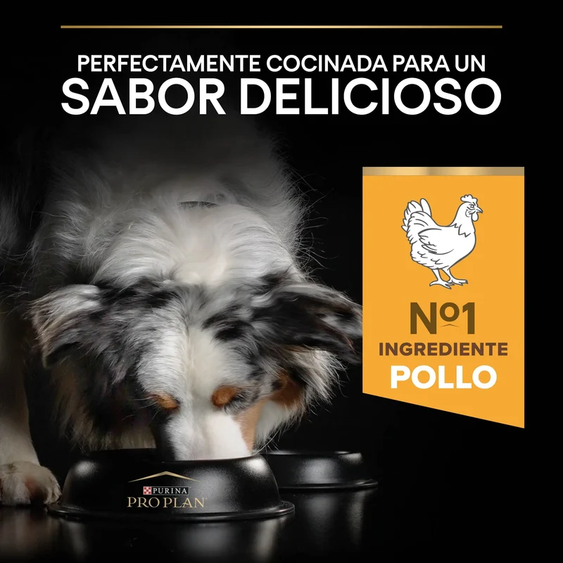 Pro Plan Dog Medium Adult Pollo 3 kg
