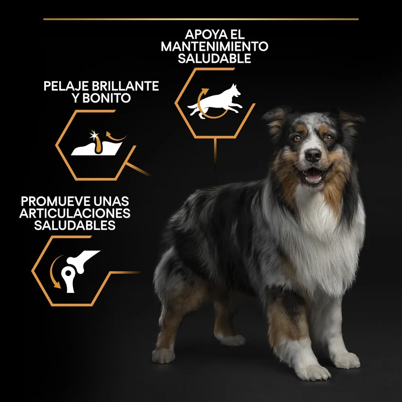 Pro Plan Dog Medium Adult Pollo 3 kg