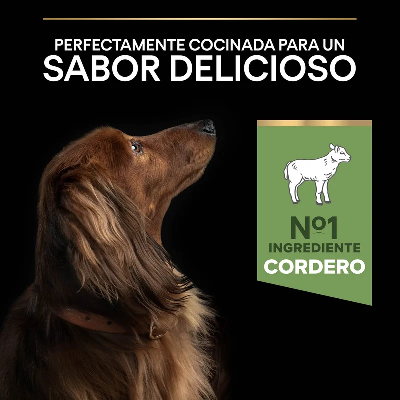 Pro Plan Dog Small y Mini Adult Digest Cordero Pienso para Perros
