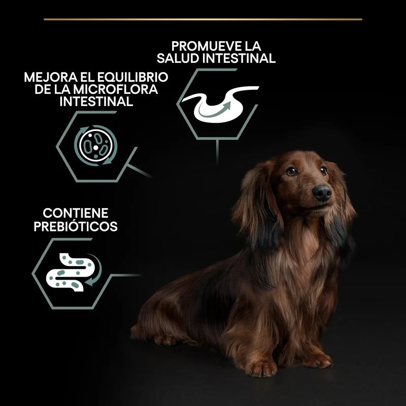Pro Plan Dog Small y Mini Adult Digest Cordero Pienso para Perros