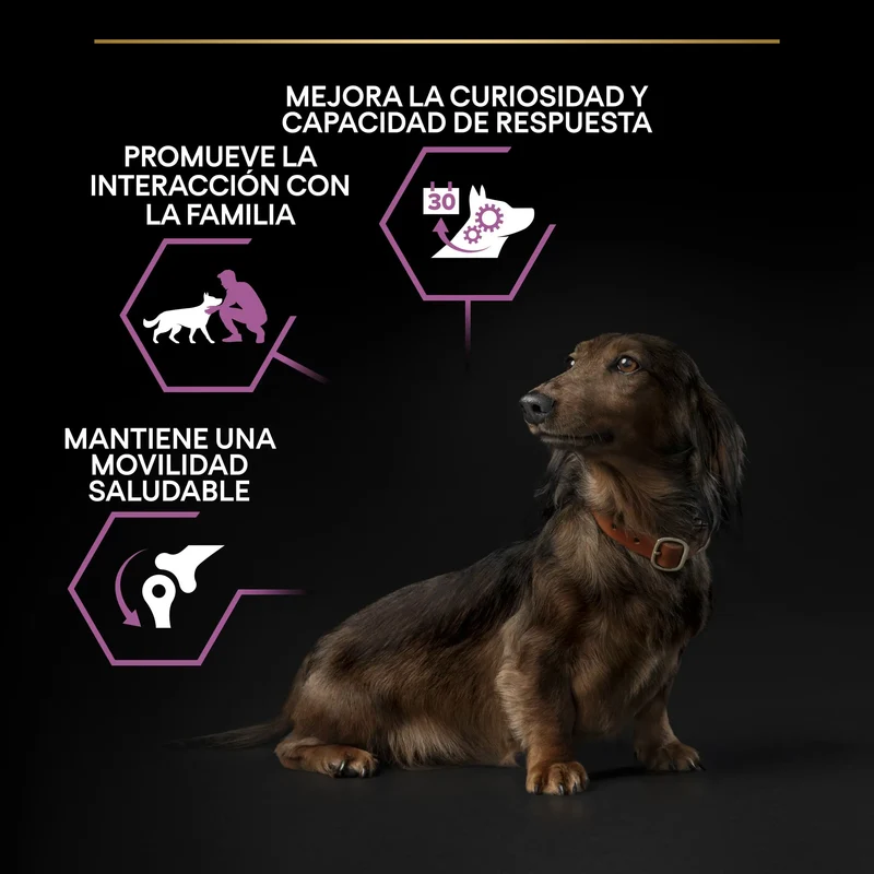Pro Plan Dog Small Y Mini Adult Agedefen 9+ Pollo 3 kg