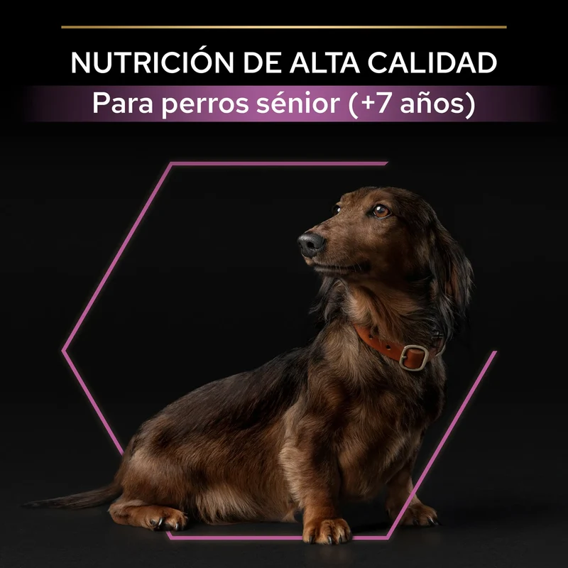 Pro Plan Dog Small Y Mini Adult Agedefen 9+ Pollo 3 kg