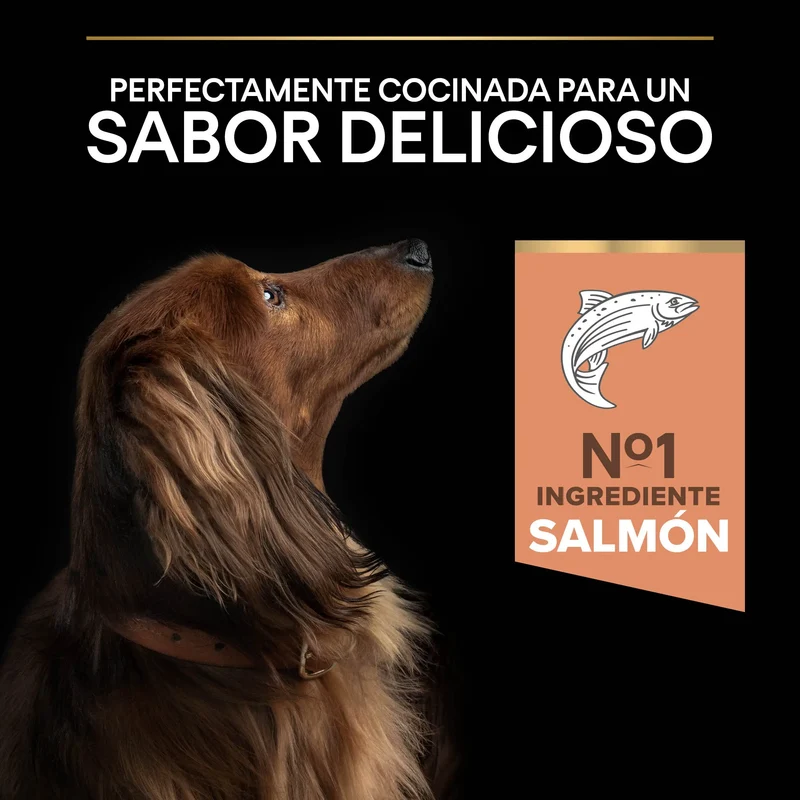 Pro Plan Dog Small y Mini Adult Skin Salmón Pienso para Perros