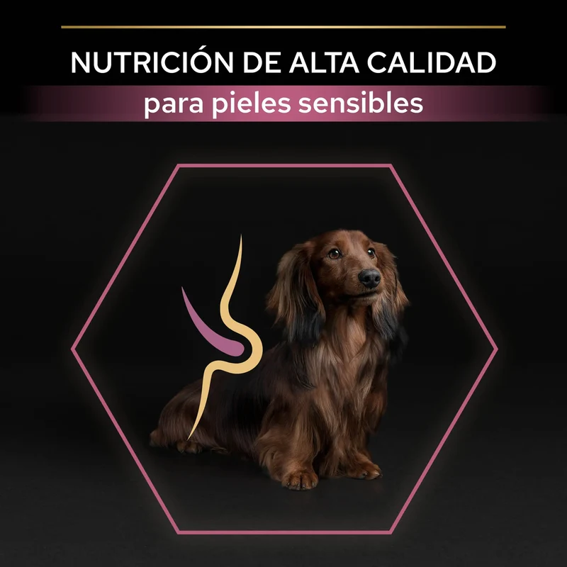 Pro Plan Dog Small y Mini Adult Skin Salmón Pienso para Perros