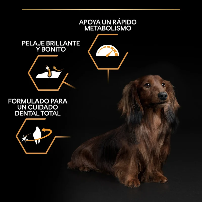 Pro Plan Dog Small y Mini Adult Pollo Pienso para Perros