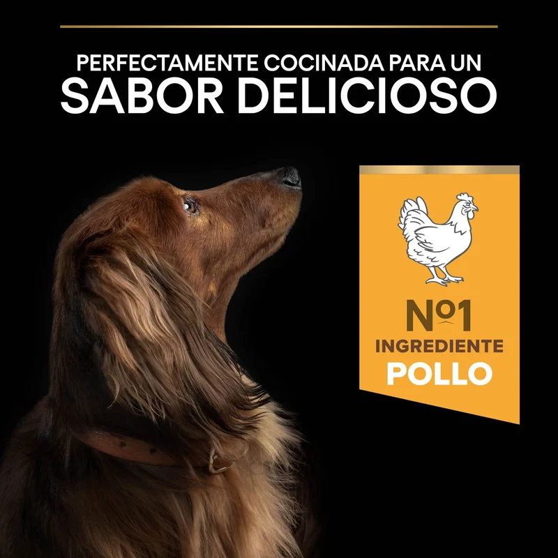 Pro Plan Dog Small y Mini Adult Pollo Pienso para Perros