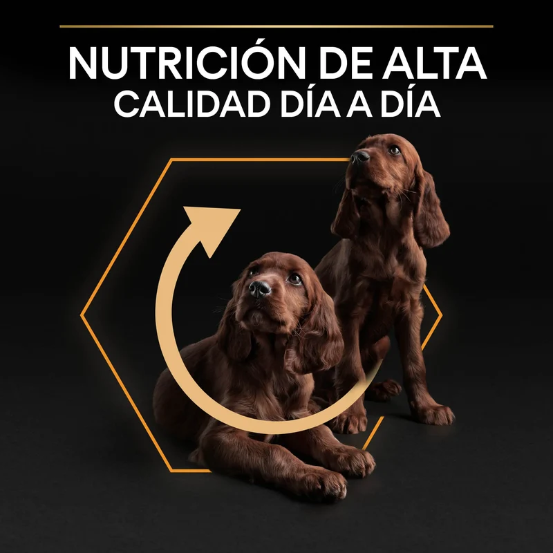 Pro Plan Dog Small y Mini Adult Pollo Pienso para Perros