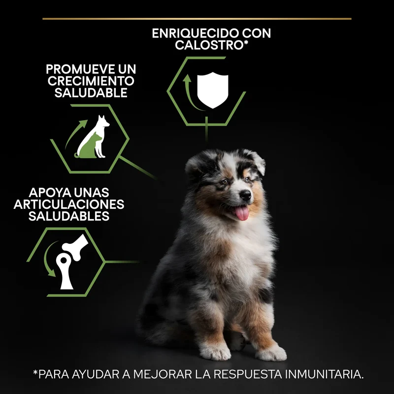 Pro Plan Dog Medium Puppy Start Pollo Pienso para Cachorros