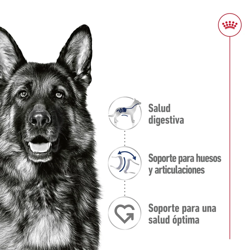 Royal Canin Maxi Adult Lata 410 g Paté Húmedo para Perros
