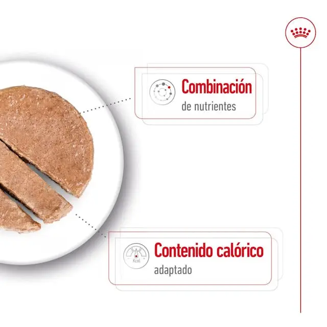 Royal Canin Mini Ageing Lata 195 g Comida Húmeda para Perros Senior