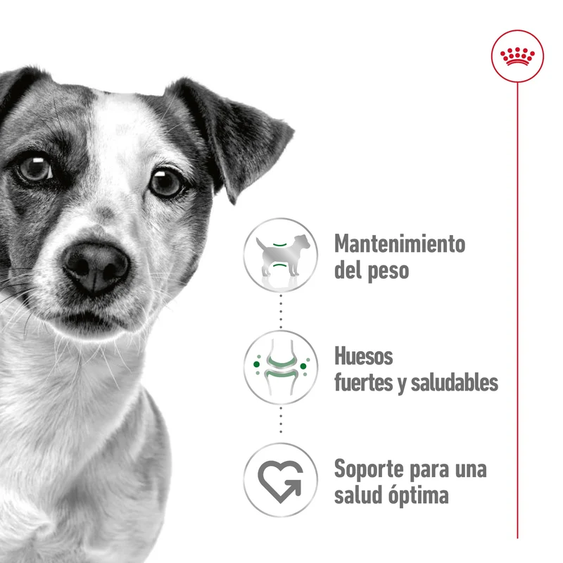 Royal Canin Mini Adult Lata 195 g Paté Húmedo para Perros