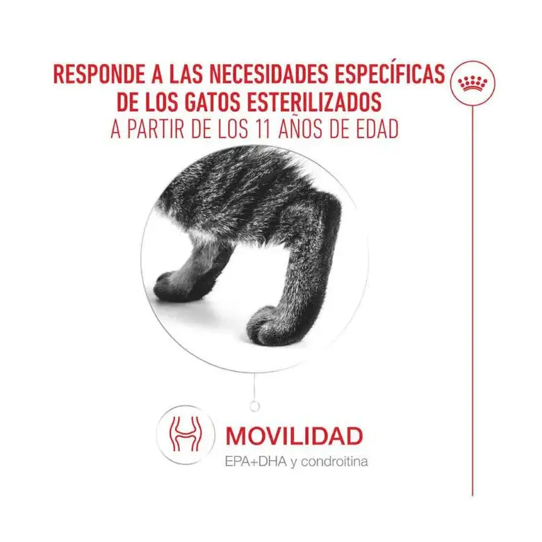 Royal Canin Ageing Sterilised 11+ Pienso para Gatos Senior Esterilizados