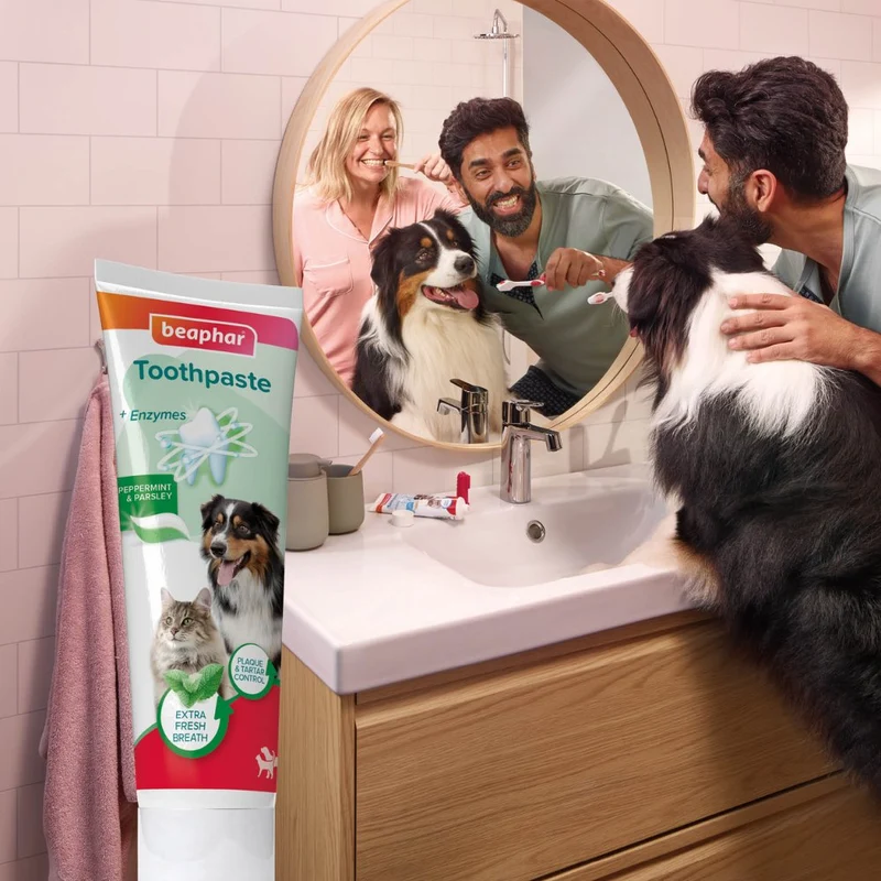 Beaphar Pasta de Dientes Sabor Menta y Perejil 100 g para Perros y Gatos