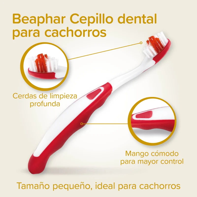Beaphar Pack Dental para Cachorros | Pasta de Dientes + Cepillo + Cepillo de Dedo