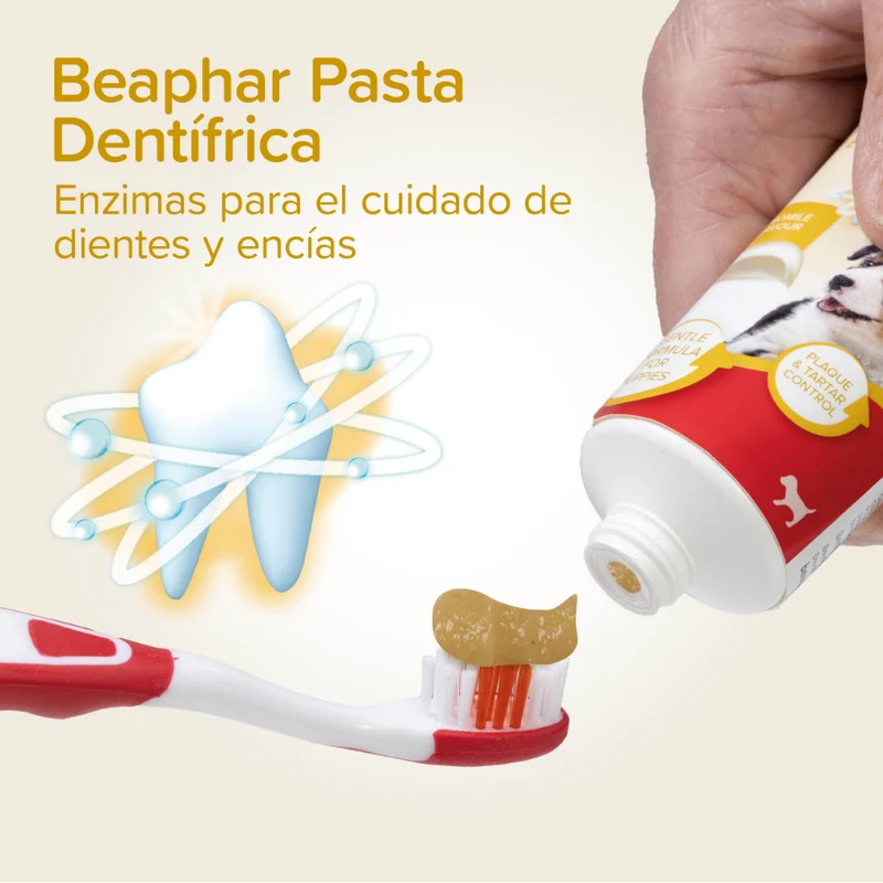 Beaphar Pack Dental para Cachorros | Pasta de Dientes + Cepillo + Cepillo de Dedo