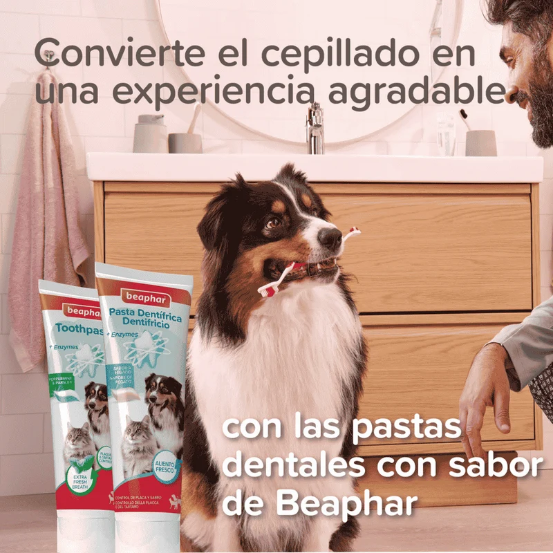 Beaphar Cepillo de Dientes Ecológico de Bambú con Doble Cabezal para Perros y Gatos