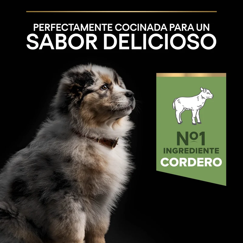 Pro Plan Dog Medium Puppy Digest Cordero Pienso para Cachorros