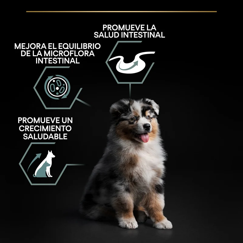 Pro Plan Dog Medium Puppy Digest Cordero Pienso para Cachorros