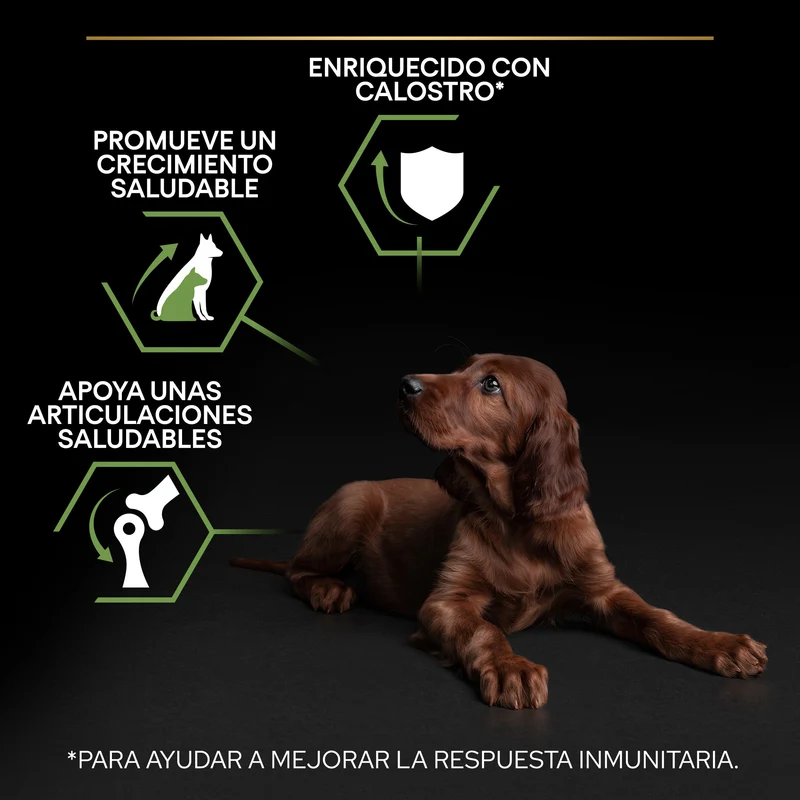 Pro Plan Dog Large Athletic Puppy Start Pollo Pienso para Cachorros