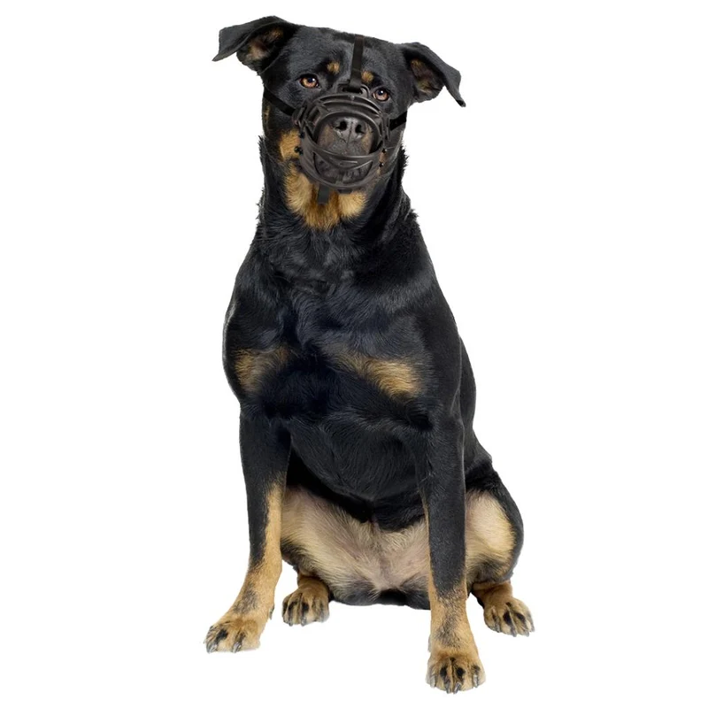 🐾 DUVO Bozal de Goma Ajustable para Perros | Ergonómico y Seguro