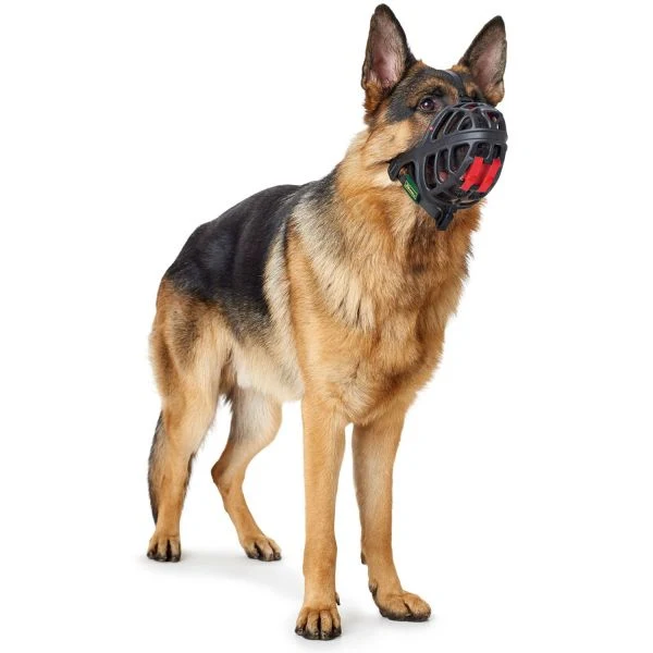 Bozal Albury para perro de la marca Hunter | Hunter Muzzle Albury