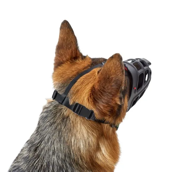 Bozal Albury para perro de la marca Hunter | Hunter Muzzle Albury