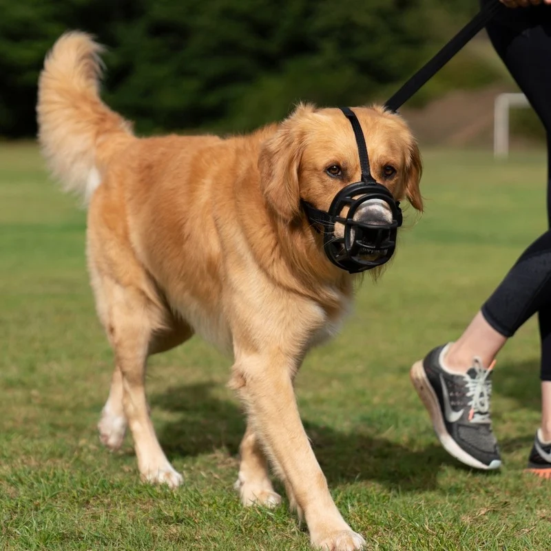 🐶 BOZAL BASKERVILLE ULTRA MUZZLE NEGRO | Seguridad, Comodidad y Control