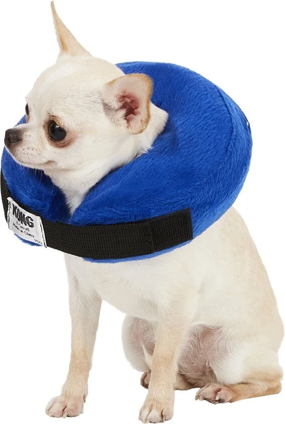 KONG Cloud collar isabelino hinchable de color azul para perros y gatos