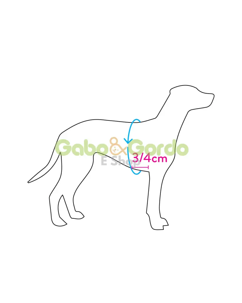 Arnés Forza Rojo para Mascotas de TRE PONTI | Seguridad y Comodidad en Paseos